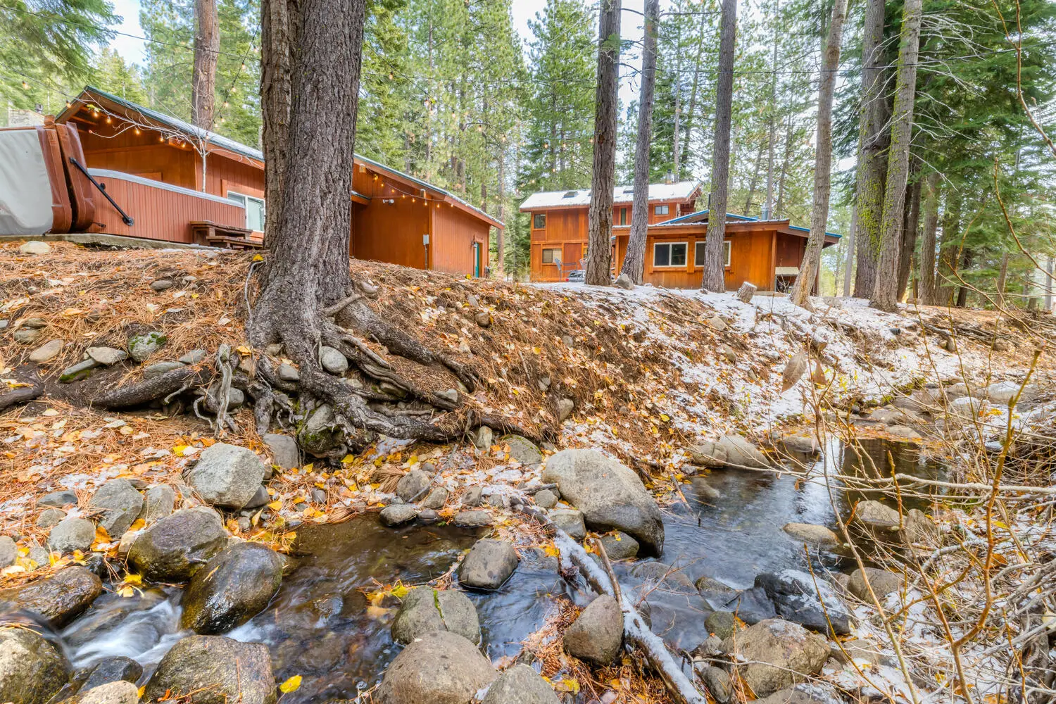Gregory Creek running through the property